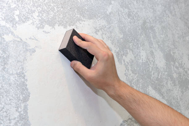 Best Real Estate Mold Inspection  in Midlothian, IL