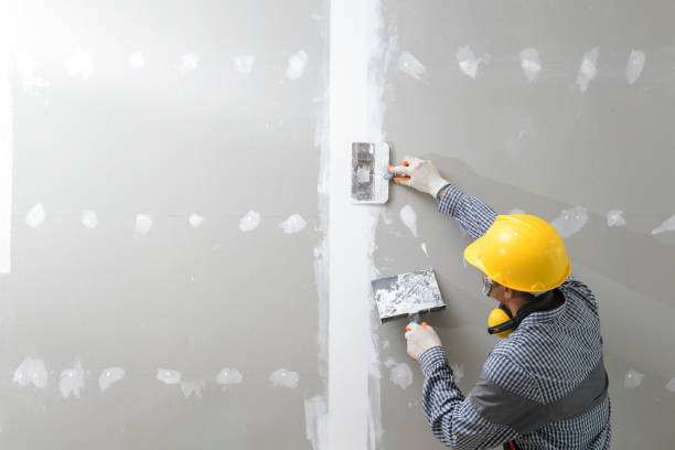 Best Biohazard Mold Removal  in Midlothian, IL
