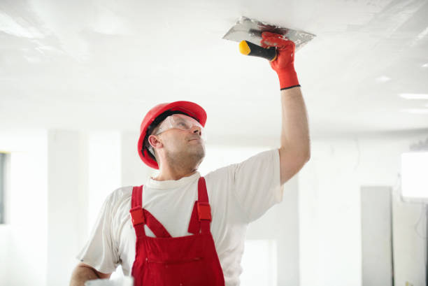 Trusted Midlothian, IL Mold Removal Experts