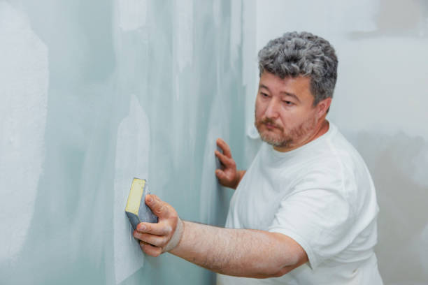 Best Mold Removal for HVAC Installations  in Midlothian, IL