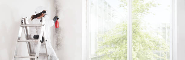 Best Comprehensive Air Testing for Mold Contaminants  in Midlothian, IL